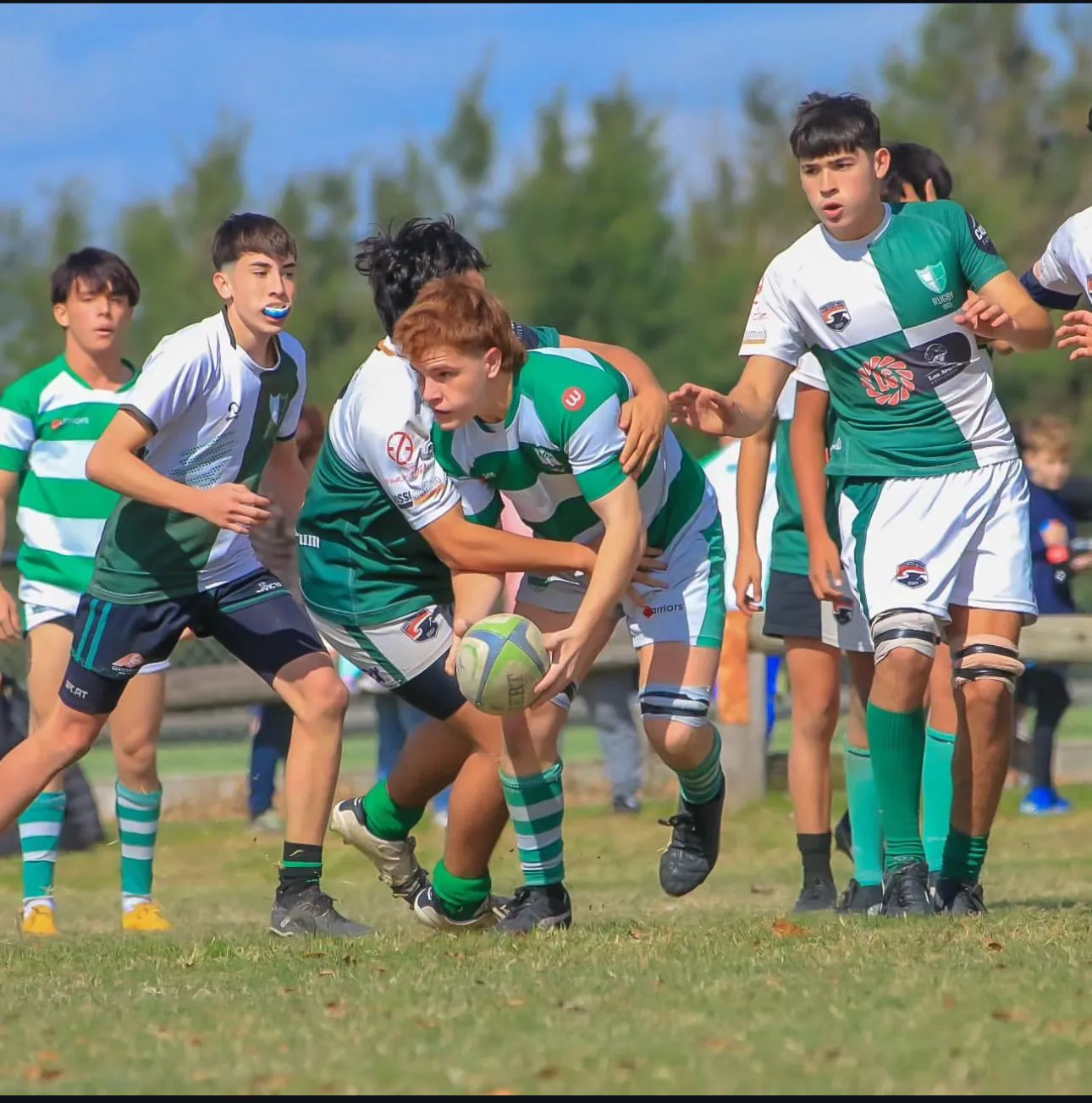 WhatsApp Image 2024-05-12 at 10.18.32