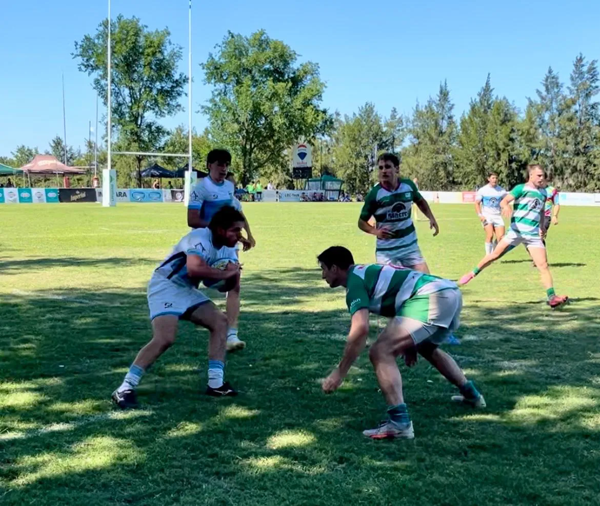 WhatsApp Image 2024-11-10 at 01.29.10 (3)