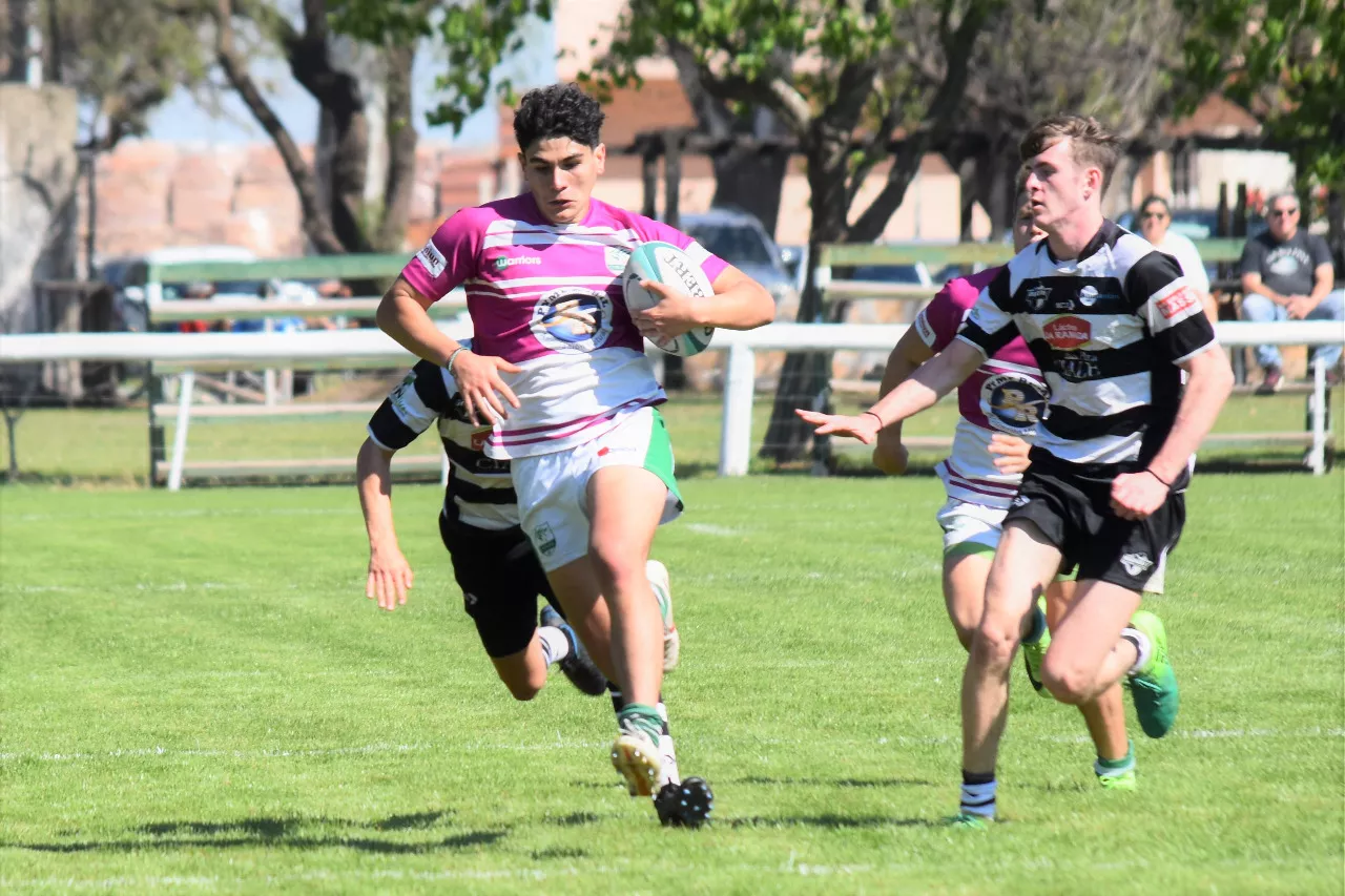 CRAR-AlmaM19
