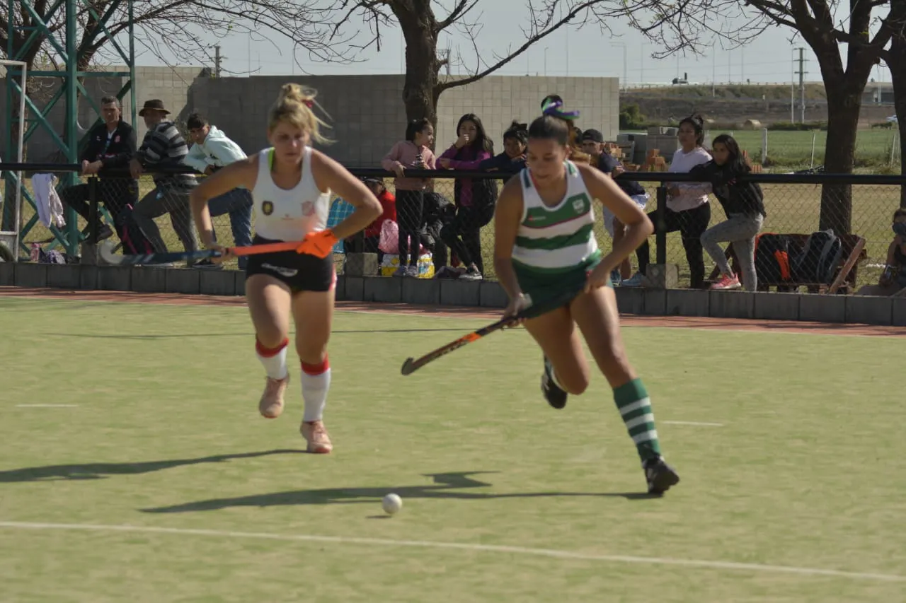 82dc0f22-4cda-4f4c-8af9-3c4a992ebb31