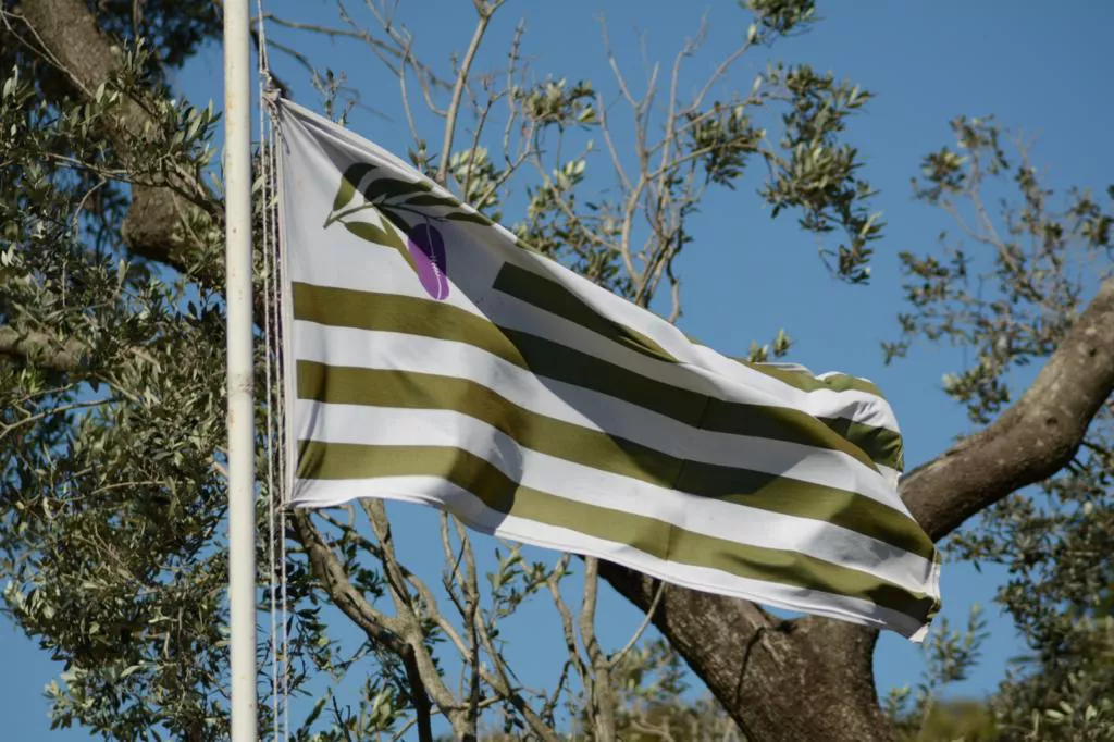 bandera