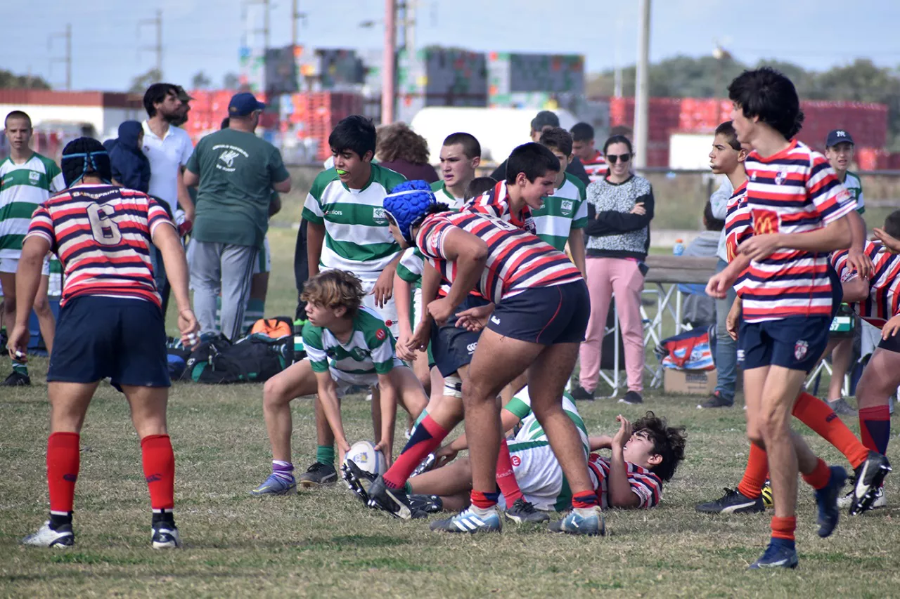 juveniles 2
