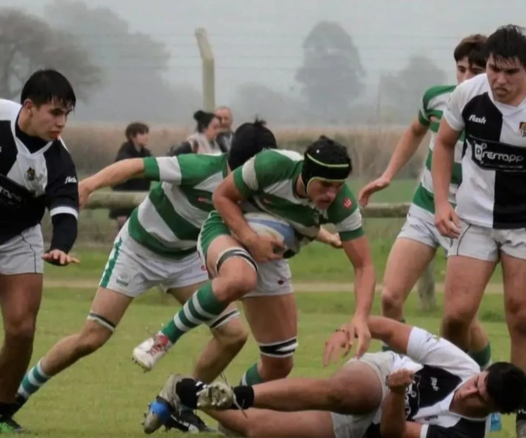 WhatsApp Image 2024-08-14 at 10.04.21