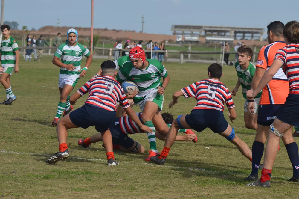 juveniles 1