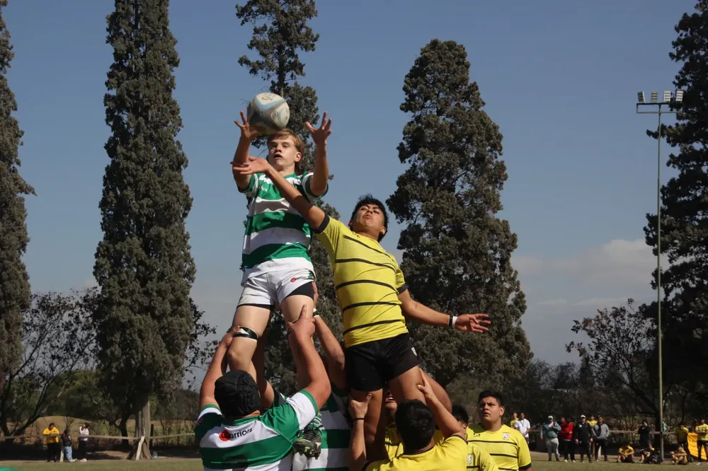 f3bb5dc9-88ed-453d-b1c4-e17f3699e670