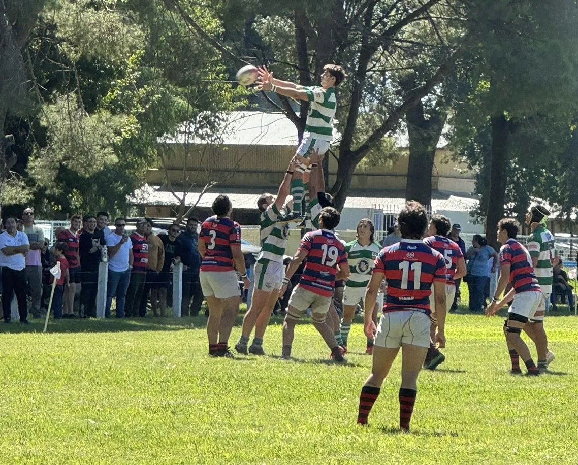 e45f3008-2386-4b1c-83a2-39cdbce67f6f