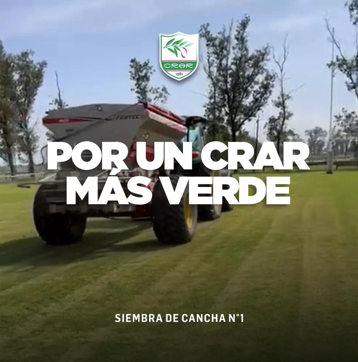 cancha