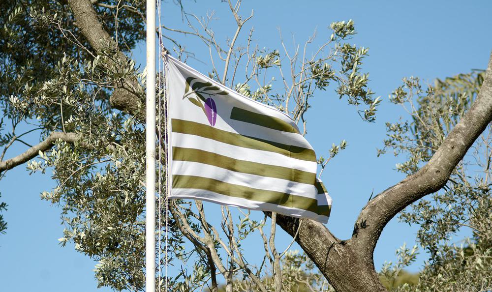 Bandera CRAR